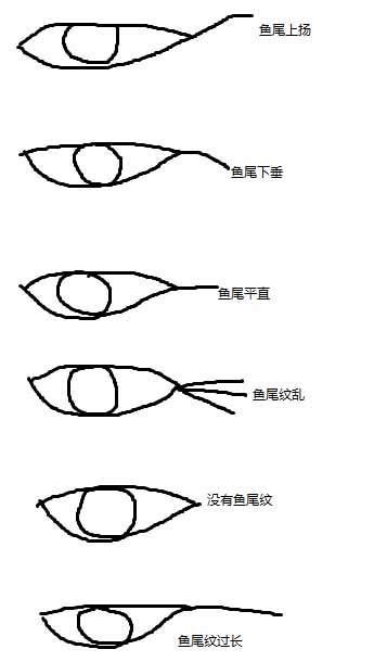 陰騭紋魚尾紋